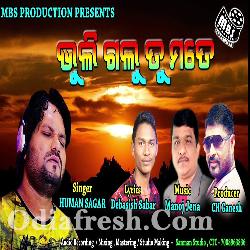 Bhuligalu Tu Mate - Human Sagar